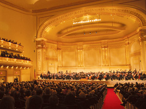 Audience Parquet with Aisle