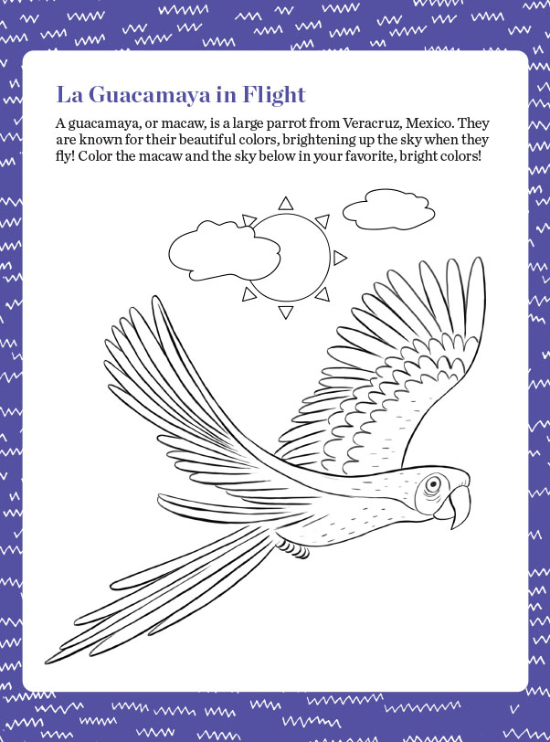 "La Guacamaya in Flight" with a pencil drawing of a macaw in flight