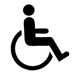 Mobility disability